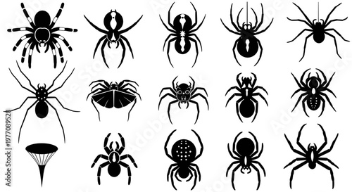 Black spider silhouettes set, 15 arachnid vector icons, creepy tarantula and widow spider collection, spooky halloween insect graphics