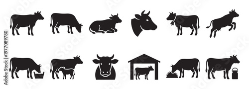 Various black cow silhouettes are depicted in different poses and activities, including standing, grazing, and with a calf, in a clean, graphic style