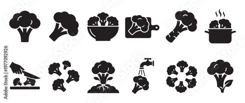 Collection of black broccoli icons illustrating various stages from growth to cooking, presented in a clean, graphic style