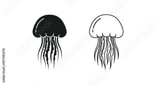 Jellyfish Designs: Black & White Ocean Creatures Vector