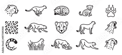 Various cheetah line art icons in different poses and expressions, including a cub, paw print, and fur pattern