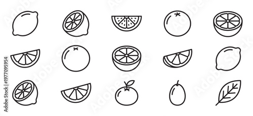 Various citrus fruit outline icons including whole lemons, oranges, and sliced wedges, presented as simple black line art