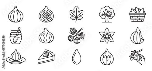 Collection of black outline fig icons representing fruit, tree, leaf, jam, and pie in a clean, modern style