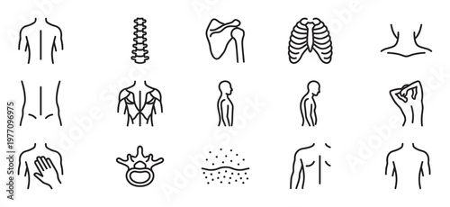 Comprehensive set of human body anatomy line icons illustrating various skeletal structures, muscles, and common pain points