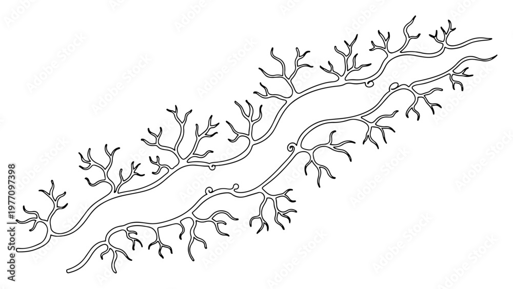 Obraz premium Branching veins or roots structure in detailed hand drawn outline style
