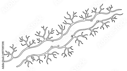 Foto Branching veins or roots structure in detailed hand drawn outline style