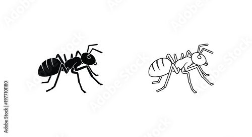 Ant Species Comparison Guide: Black vs Light Ants Vector