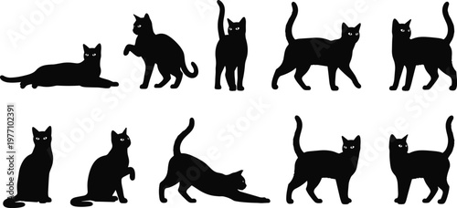 Black cat silhouette set featuring domestic feline pets in various poses like stretching walking sitting and lying down for animal themed graphic designs.