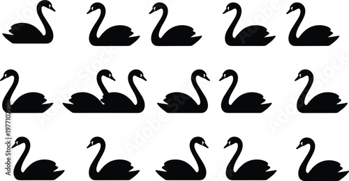 Swan silhouette collection featuring elegant black water birds swimming and floating in various graceful poses isolated on white background for romantic 