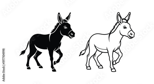 Donkey Breeds Comparison: Black vs White Donkeys Vector