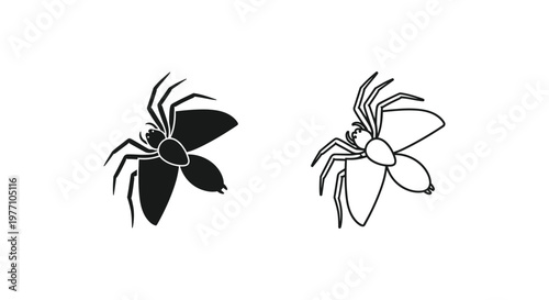 Spider vs Insect: Identifying Common Household Arthropods Vector