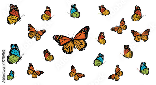 Various realistic monarch butterflies featuring intricate orange and black wing patterns flutter gracefully across a clean white background under bright light.