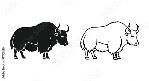Yak vs Ox: Unique Animal Comparison Guide Vector