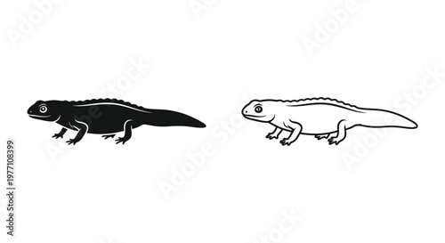 Salamander vs Newt: Amphibian Comparison Guide Vector