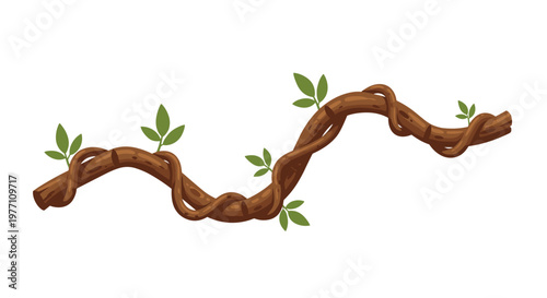 A rugged horizontal brown vine with a twisted woody texture and small bright green leaf clusters stretches across a pristine white background.