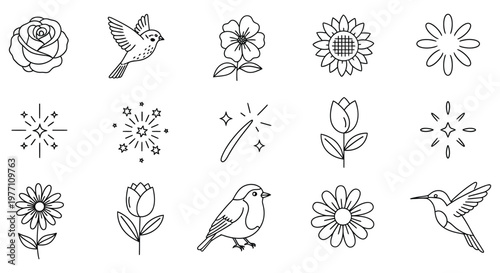 A collection of flowers and birds with starbursts isolated on white background, Vector, illustration