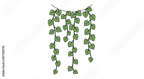 Several delicate vertical strands of heart-shaped green leaves dangle elegantly from a curved upper wire against a clean and bright white background.