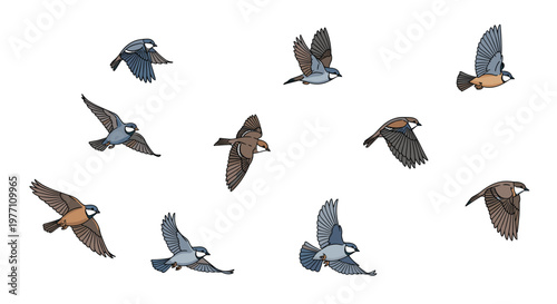 A diverse collection of meticulously detailed small songbirds with blue and brown plumage glides gracefully through a bright white space in various flight poses.