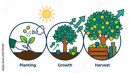 Planting Growth and Harvest Stages of a Fruit Tree from Seedling to Maturity