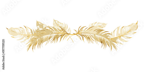Elegant golden feather banner design element, vector