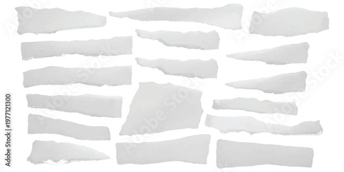 A collection of various white paper scraps with torn edges isolated against a plain white background