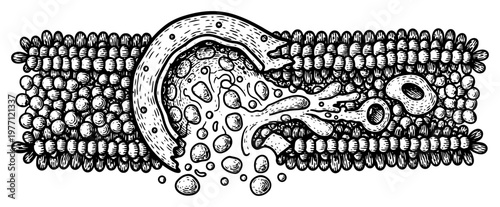 Abstract biological cross section of a cell membrane or microorganism in vintage style