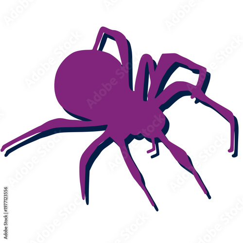 vector illustration of a spider