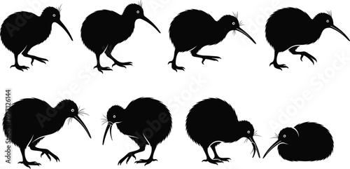Black silhouette kiwi bird set with multiple postures, walking, standing, pecking, resting, New Zealand flightless species, flat vector illustration