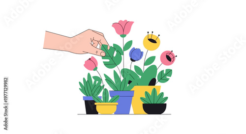 Arrangement of colorful flowers in pots with hand taking care on white background