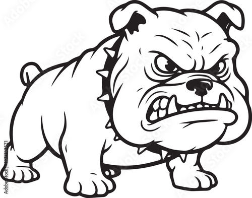 Vector illustration of an angry bulldog wearing a spiked collar