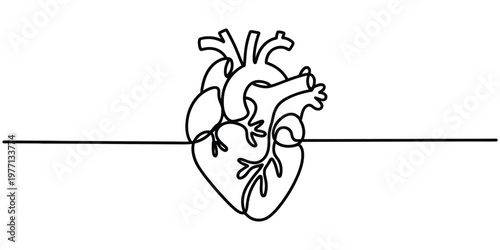 A single continuous line drawing of a human anatomical heart organ centered on a horizontal line