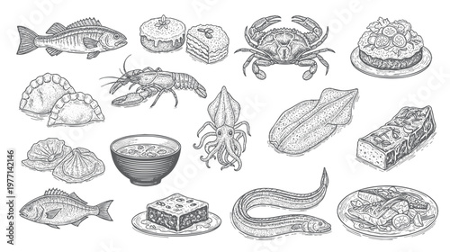 Seafood vector illustrations. Hand drawn line sea fishes, oysters, lobster, squid, octopus, crabs, Healthy food natural set