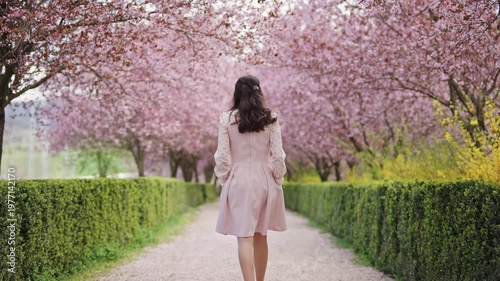 Woman walking away under cherry blossom trees, spring pathway