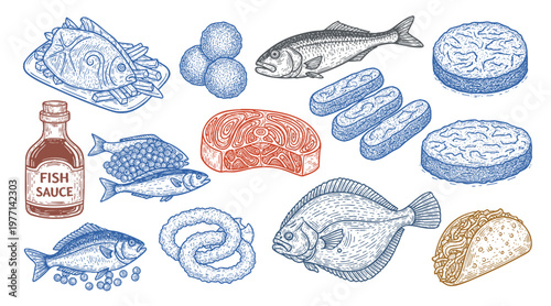 Seafood vector illustrations. Hand drawn line sea fishes, oysters, lobster, squid, octopus, crabs, Healthy food natural set
