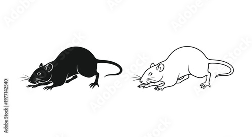 Black and White Rat Illustration Guide Vector