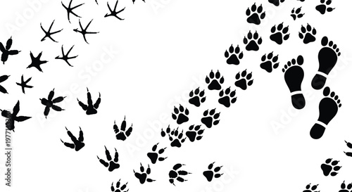 Footprint silhouette vector set, human bird animal tracks, editable black graphic, nature themed illustration, walking path icons, wildlife movement design