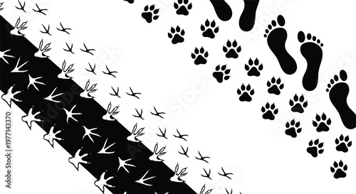 Footprint vector set, bird rabbit dog human tracks, editable black silhouette graphic, nature themed illustration, walking path icons, wildlife movement design