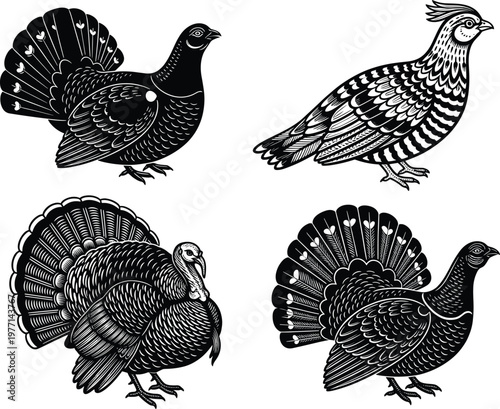 Game bird vector set, turkey quail grouse illustrations, black silhouette designs, editable wildlife graphic, nature themed artwork, hunting animal icons
