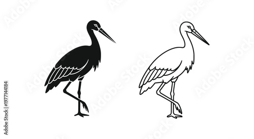 Black and White Wading Birds Illustration Guide Vector