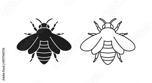 Bee vs Wasp: Identifying Flying Insects Vector