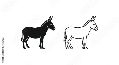 Donkey Breeds Comparison: Key Differences Illustrated Vector