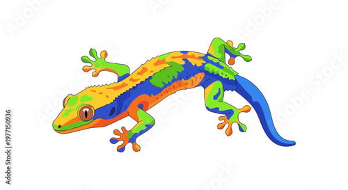 Colorful Gecko Lizard Reptile Illustration on White Background