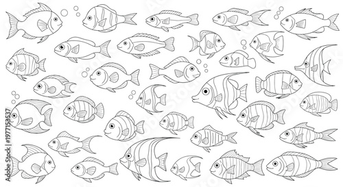 Diverse collection of various small and large fish species swimming together in a detailed black and white line art illustration.