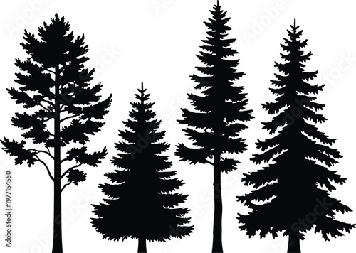 Four coniferous tree silhouette vector illustration with varied shapes and branch patterns, minimalistic black and white decorative artwork