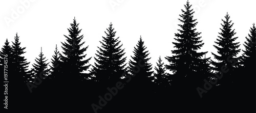 Forest silhouette vector illustration with coniferous trees, natural skyline composition, minimalistic black and white design, decorative nature inspired artwork