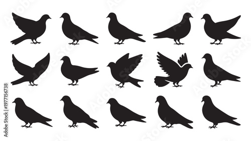 Black dove bird silhouettes arranged in three rows