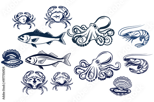 Vintage nautical illustration a collection of detailed marine life drawings