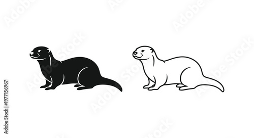 Otters Comparison: Black and White Otter Species Guide Vector