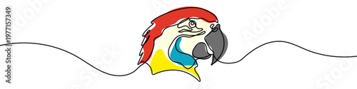 Parrot head in one line art style. Drawing of an exotic bird with color and editable black stroke on white background. Vector illustration.