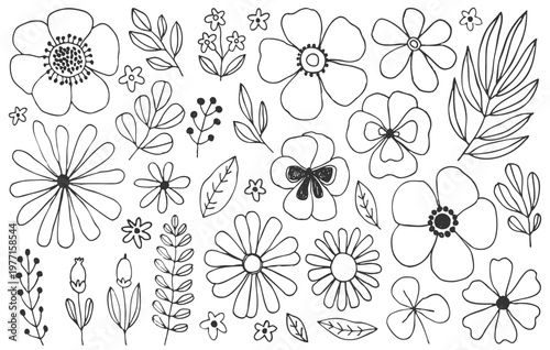 Plants and flowers doodles set. Floral elements, hand drawn simple illustration of spring flowers, leaves and plants.